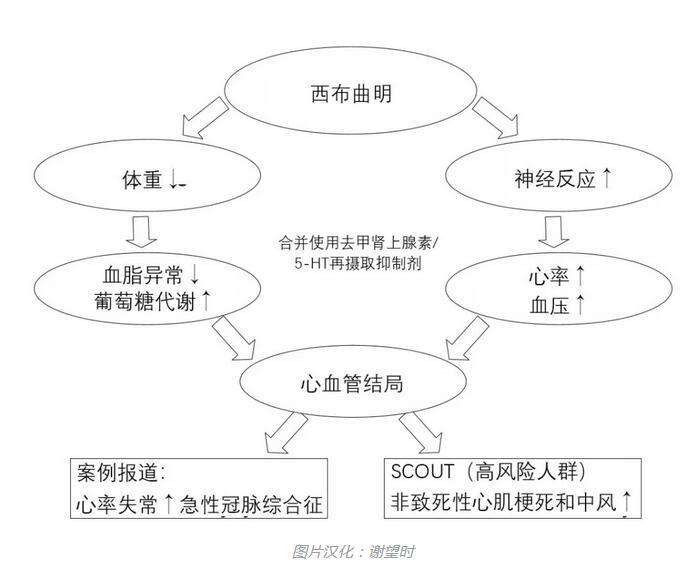 爱尚美减肥药禁止食品 爱尚美减肥药禁止食品吗