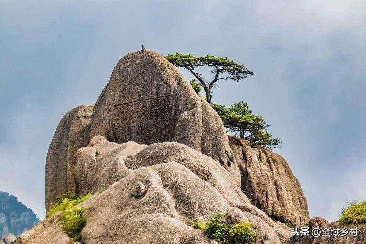 黄山蛇石头 黄山巨蛇石头