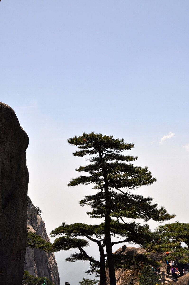 黄山风景区主要景点 黄山风景区主要景点分布图