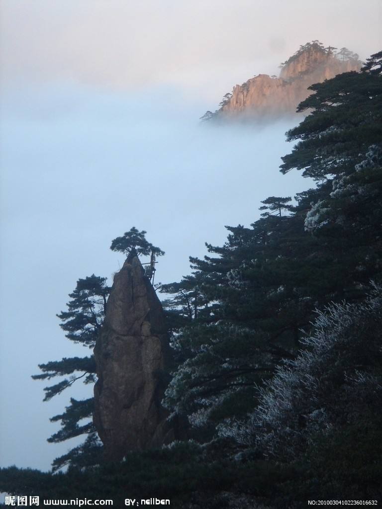 登黄山记读后感 登黄山记读后感20个字