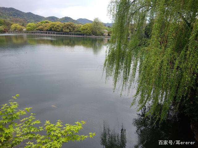 西湖水干 杭州西湖水干过吗