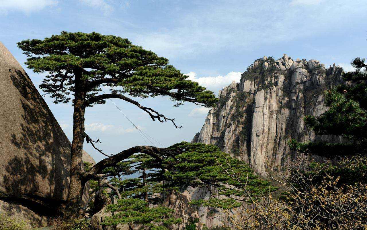 江西黄山景区简介 介绍一下黄山风景区