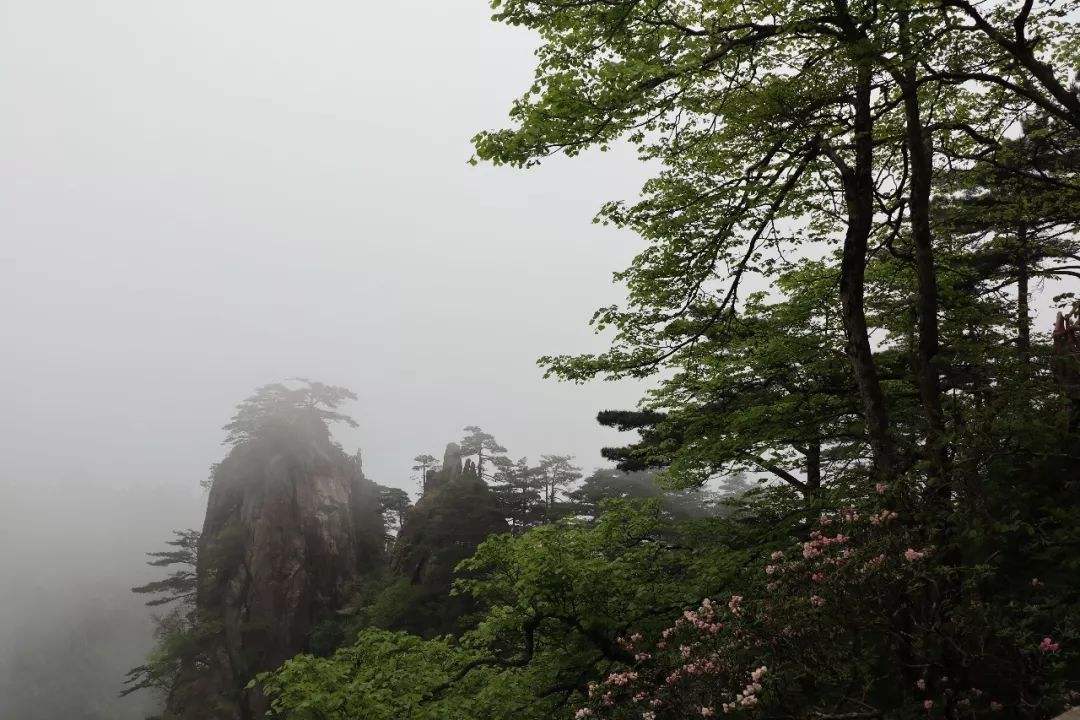 黄山一年有多少天雨天 黄山一年有多少天雨天啊