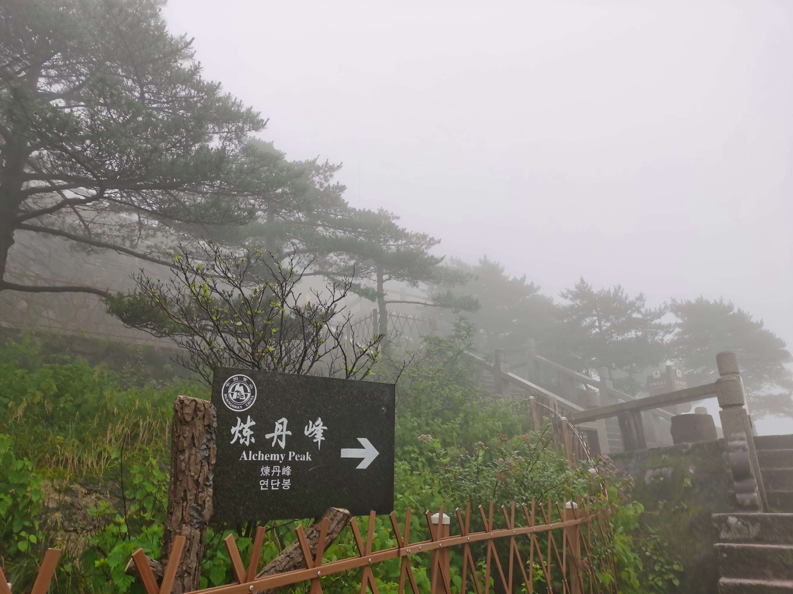 黄山当天上下山 黄山一天上下山来的及吗