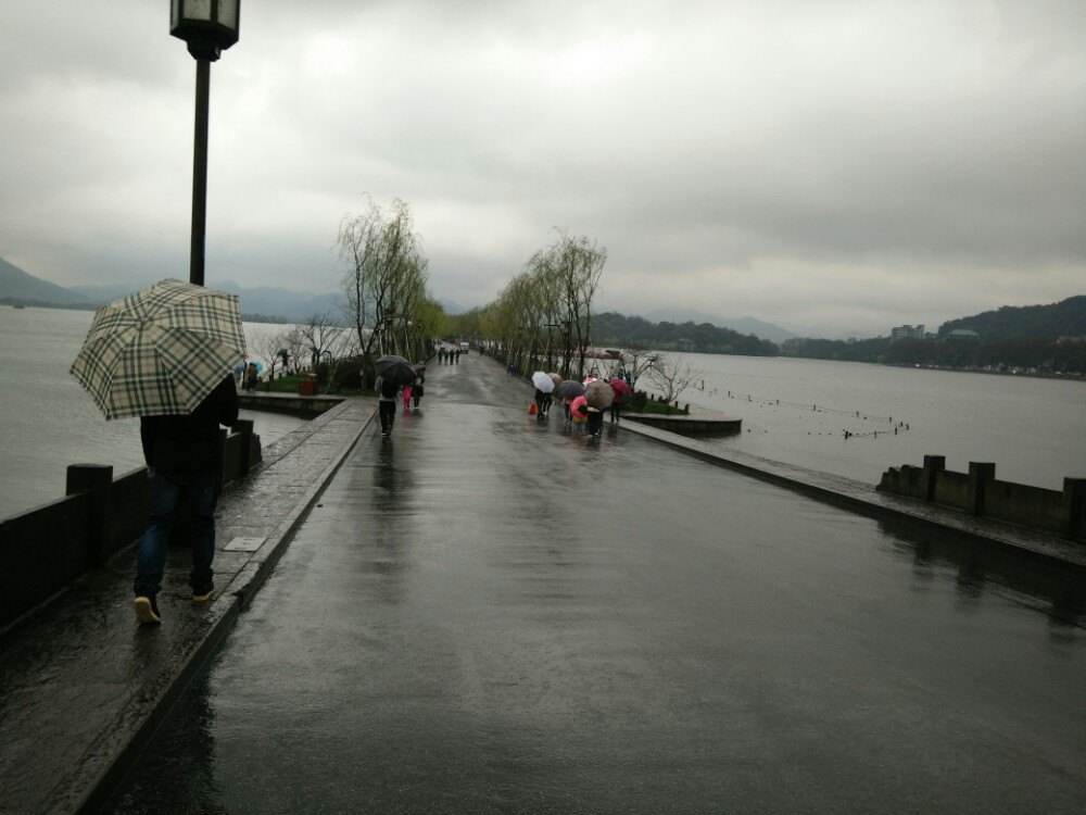 下雨的西湖 大雨中的西湖