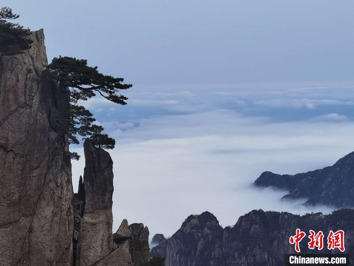 安徽的黄山景区图片 黄山景区图片大全图片