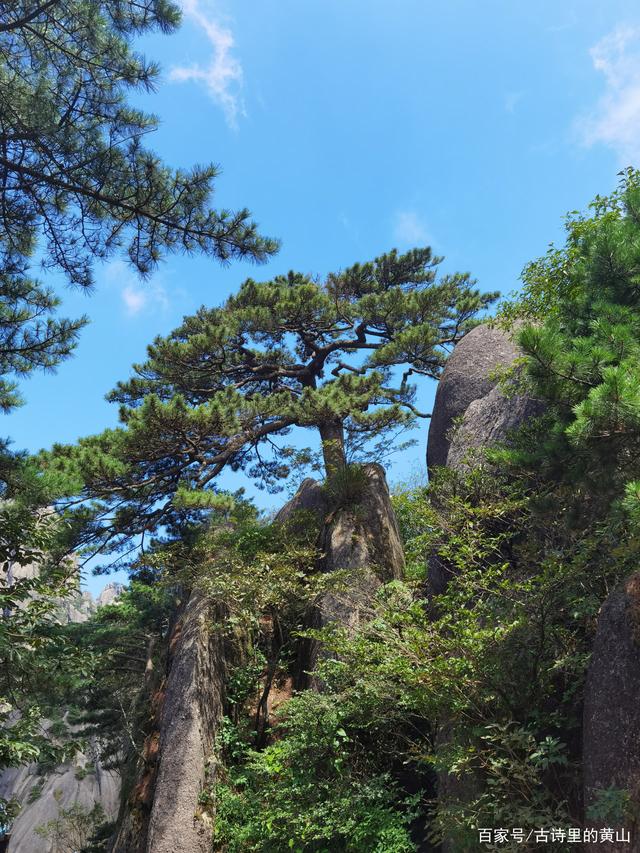 黄山王国 黄山游戏王