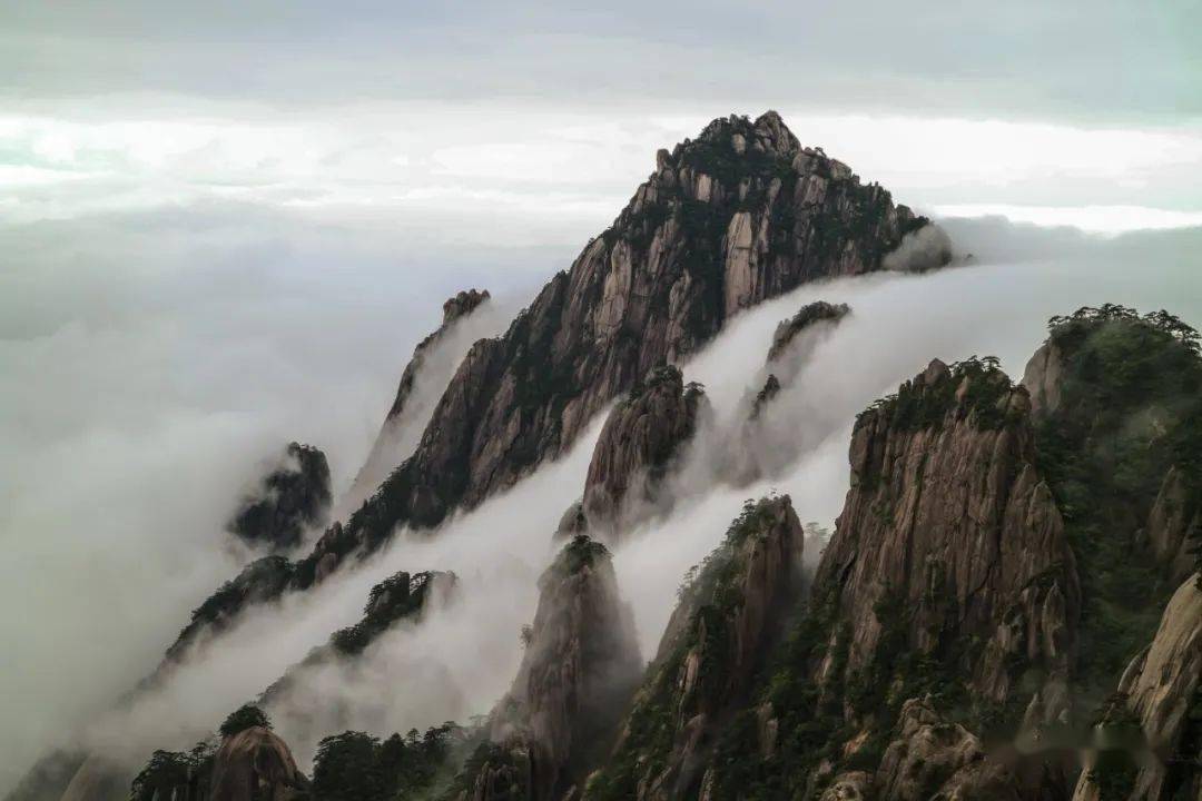 黄山云海的主要内容 对黄山云海的认识有哪些