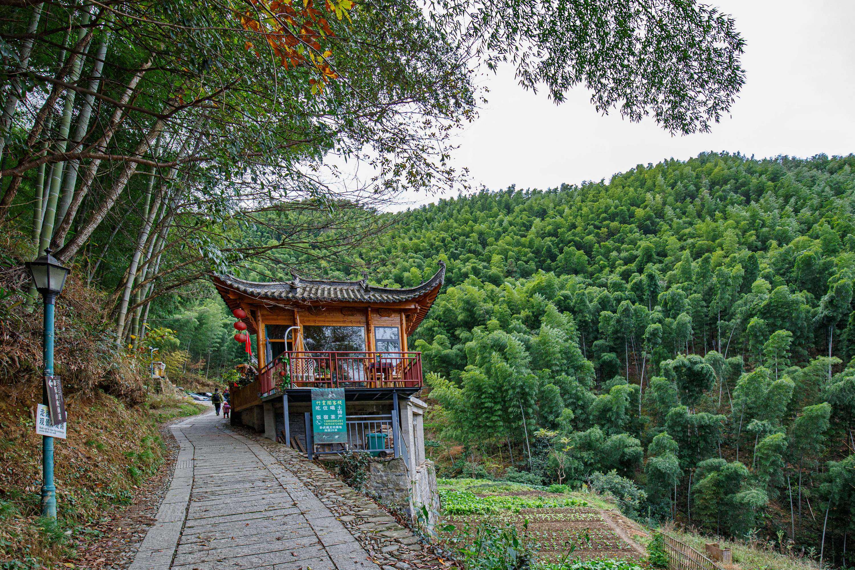 黄山木坑竹海好玩吗 黄山木坑竹海好玩吗多少钱