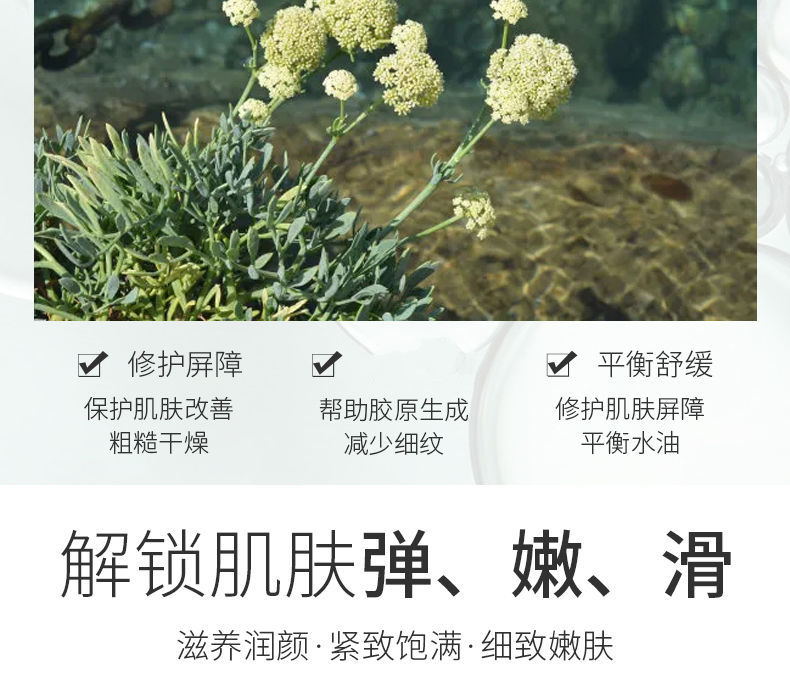 海茴香精华素怎么样 海茴香焕颜精华液有用吗