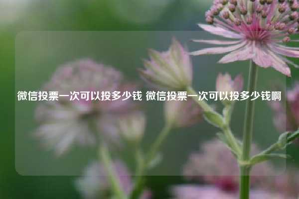 微信投票一次可以投多少钱 微信投票一次可以投多少钱啊