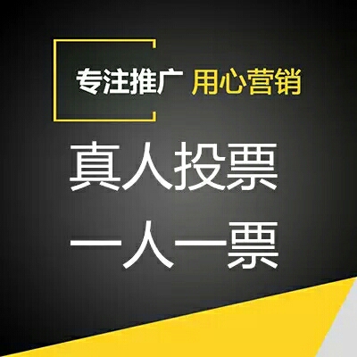 微信投票专业团队收费 微信投票团队搜 – 光速网络工作室