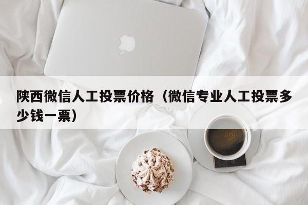 陕西微信人工投票价格（微信专业人工投票多少钱一票）