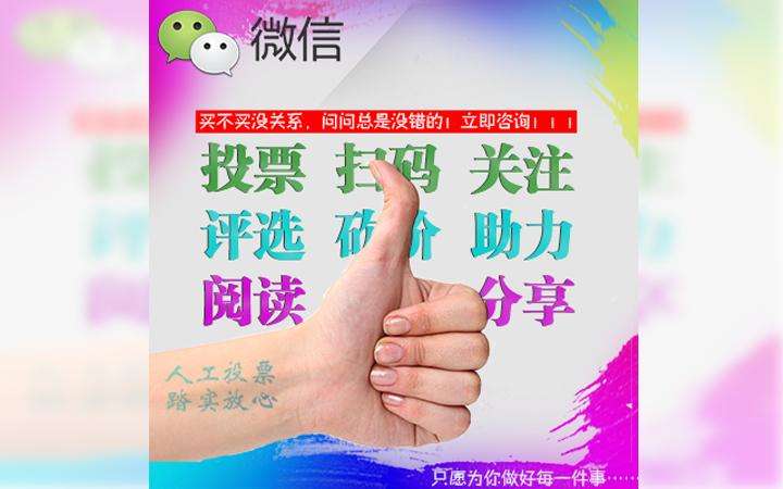 南宁微信人工投票价格 南宁微信人工投票价格查询