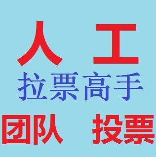 北京微信人工投票专业团队 微信人工投票蕴藏着更多商机