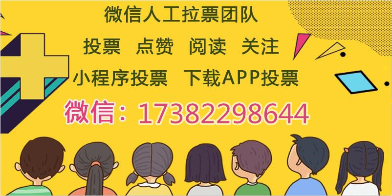 微信人工投票软件联系方式 微信人工投票软件联系方式怎么填