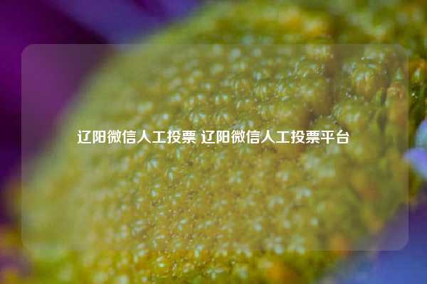 辽阳微信人工投票 辽阳微信人工投票平台