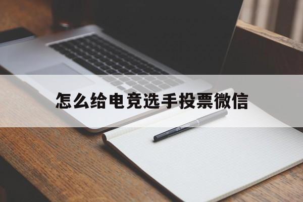 怎么给电竞选手投票微信 年度最受欢迎电竞选手投票在哪投