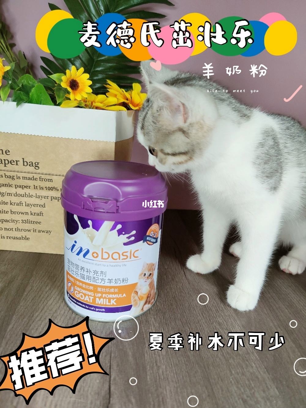 奶猫羊奶粉排行榜10强 羊奶粉猫咪十大名牌排行榜