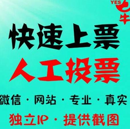 北京有人工投票的吗 人工投票团队联系方式