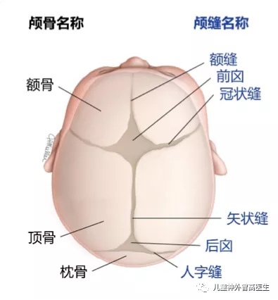 婴儿头围测量方法视频 婴儿头围测量方法视频教程