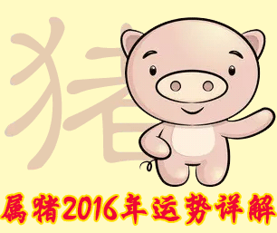 猪2019年运势(属相猪2019年运势大全)