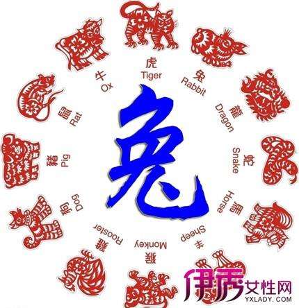 属兔今年每月的运势(属兔今年每月的运势和运程)