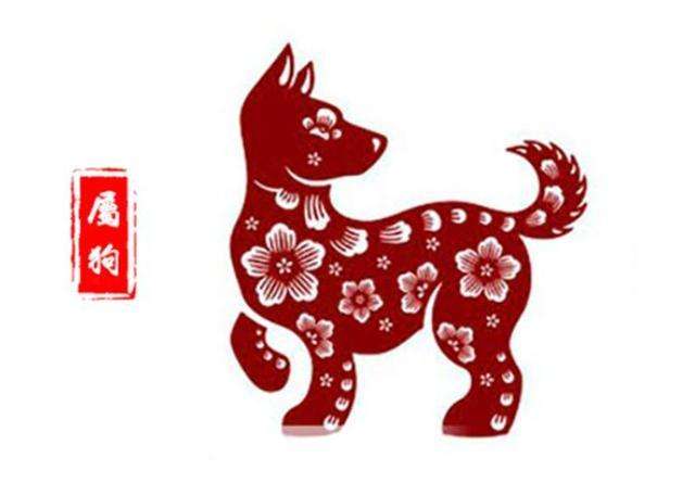 2019属狗的运势和财运(今年属狗的财运)