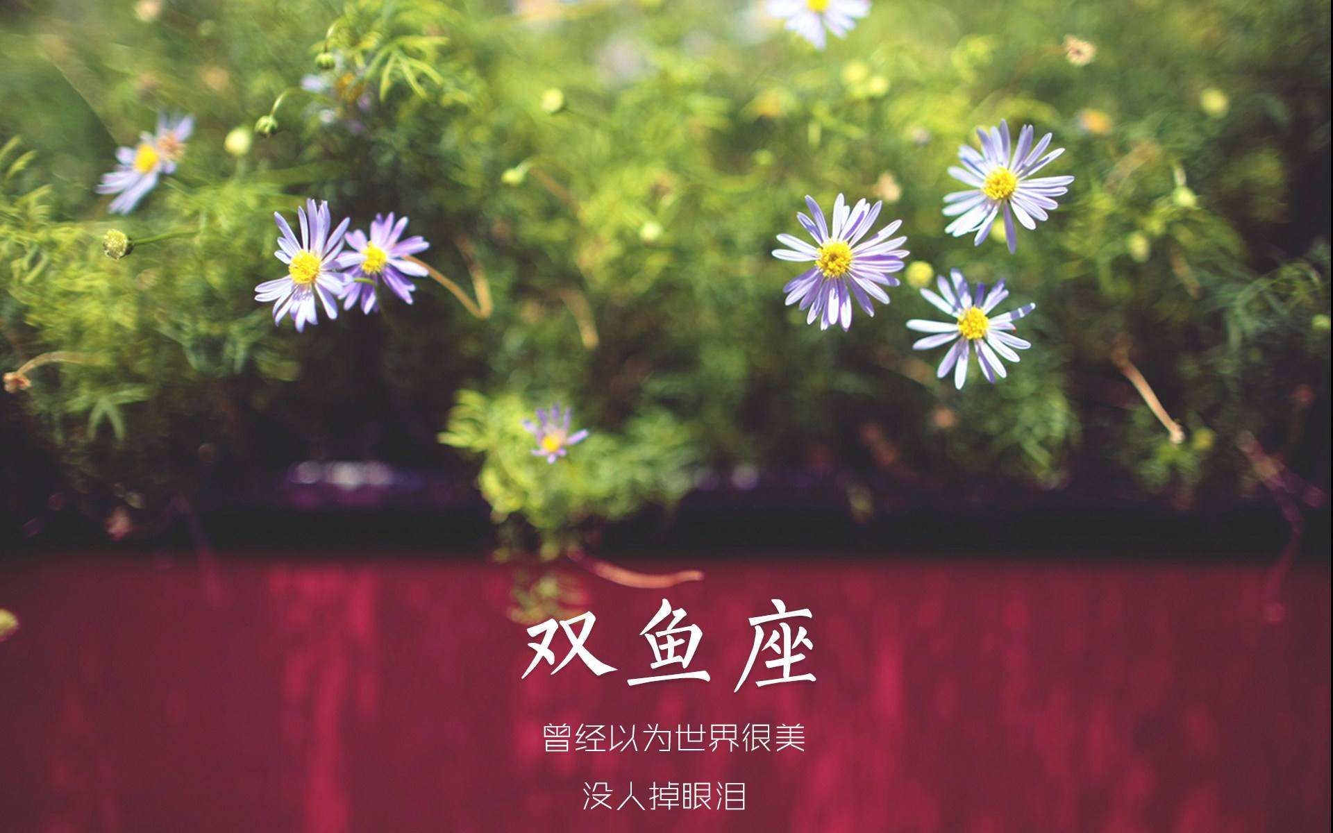 双鱼女在2017年运势(双鱼女明年运势)