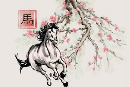 2019年属马每月运势(2019年属马每月运势运程)