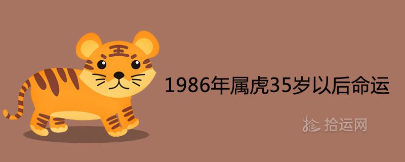 1986女虎在2017年运势(1986女虎在2017年运势怎样)