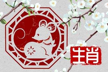 鼠年运势大好(鼠年运势怎么样)