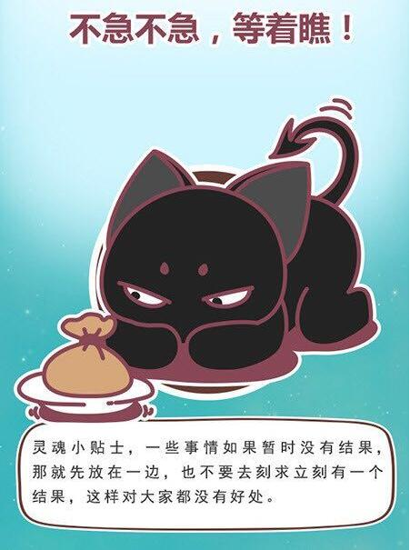 猫石对话5月运势(猫石对话2020年每月运势)