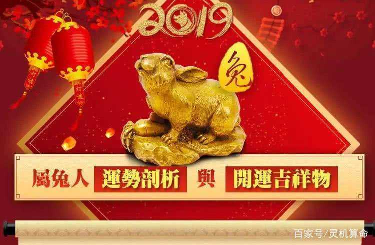 兔在2019的运势如何(属兔的今年运势怎么样2019)