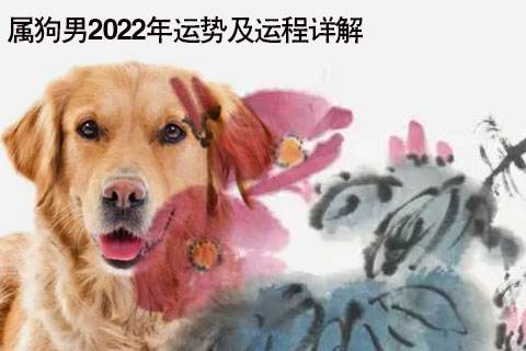 属狗明年运势(属狗2022年运势)