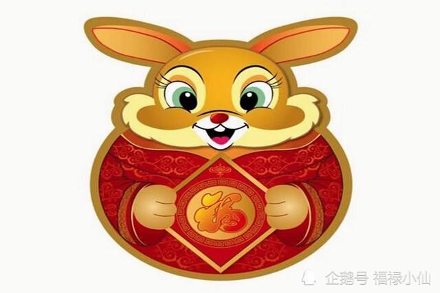 兔今年爱情运势(兔子今年的感情运势)