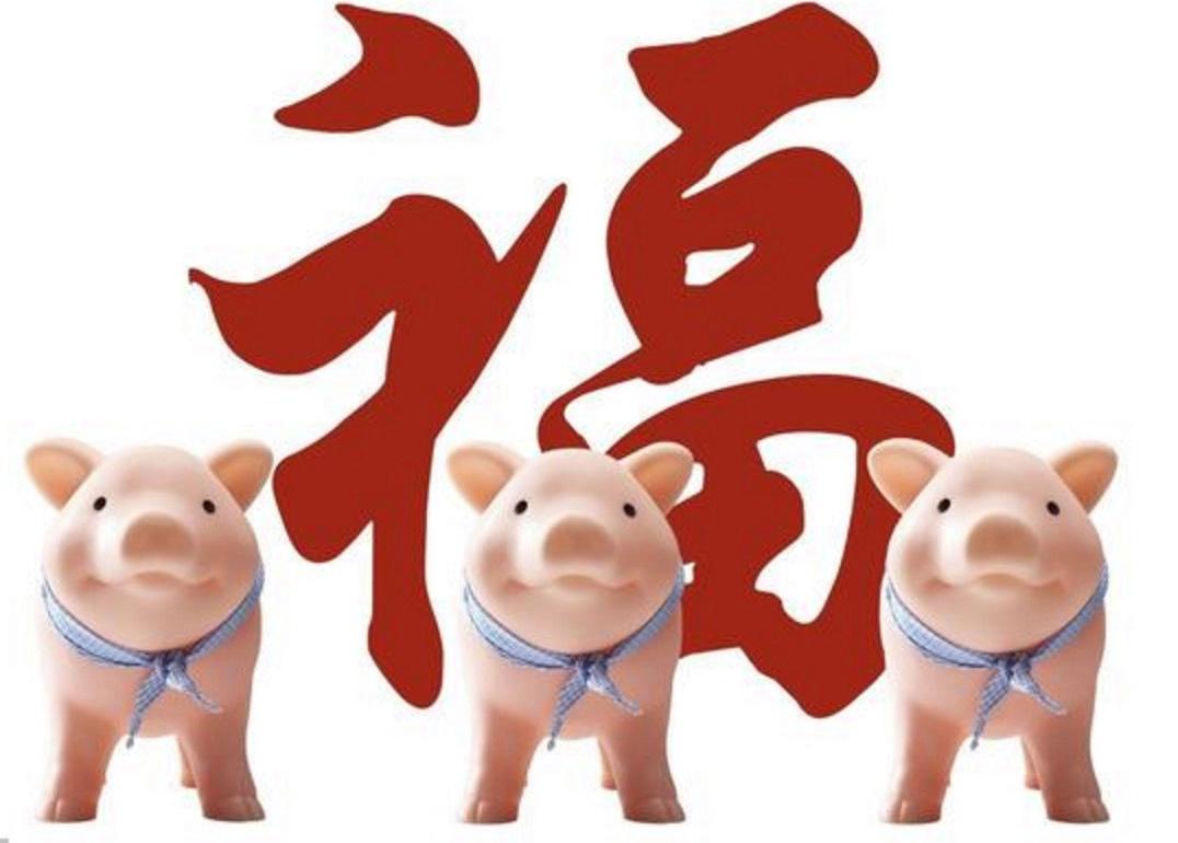 2019年属猪人每月运势运程(属猪2019年运势及运程每月运程)