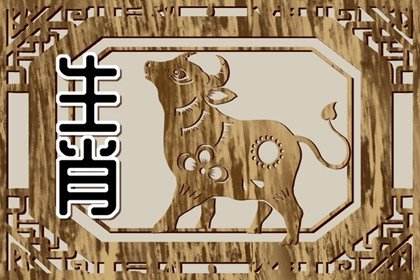 属牛2019年每月运势(属牛的2019年运势如何)