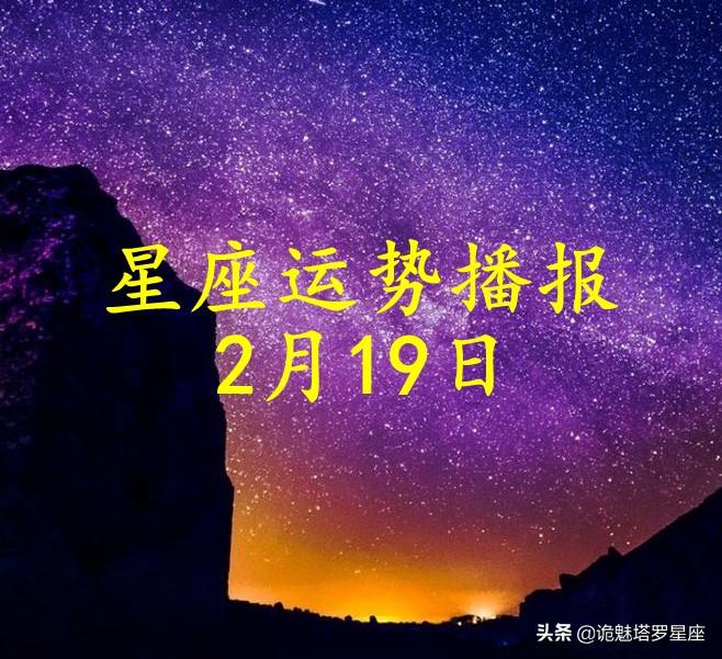 星座运势2019年(第一星座网2019年运势)