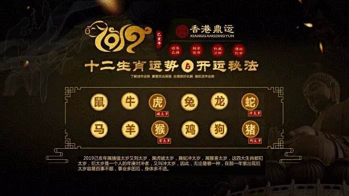 2019流年运势每月(2019年八字流年运势)