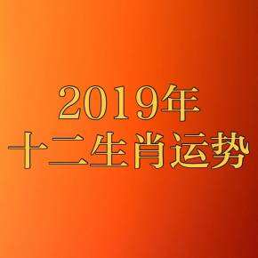 75年男兔2019年运势(75年男兔2019年运势如何)