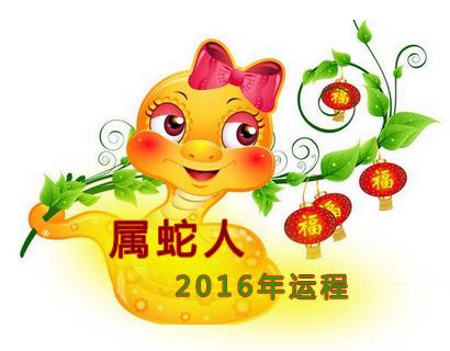 2017蛇运程每月运势(2017蛇运程每月运势怎样)