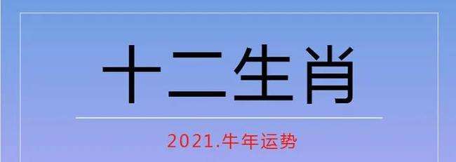 2019运程十二生肖运程每月运势(2019运程十二生肖运程每月运势如何)