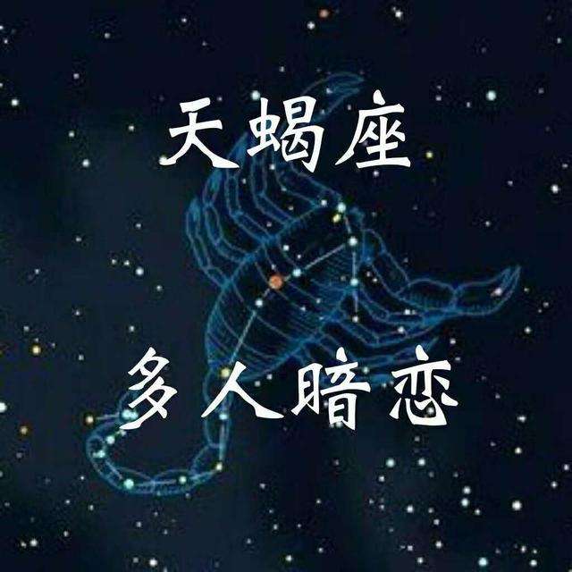 天蝎座6月7日运势(天蝎座6月17日运势)