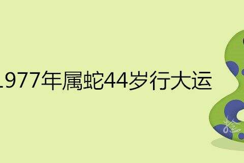 2015属蛇爱情运势(2015属蛇爱情运势怎样)