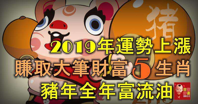 2019年生肖运势相排名(2019生肖运势大解析 十二生肖)