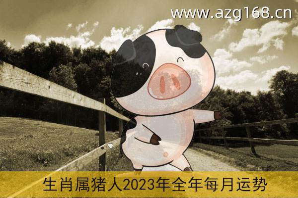 属猪的2019年下半年的运势怎么样(属猪2019年运势是下半年好还是上半年好)