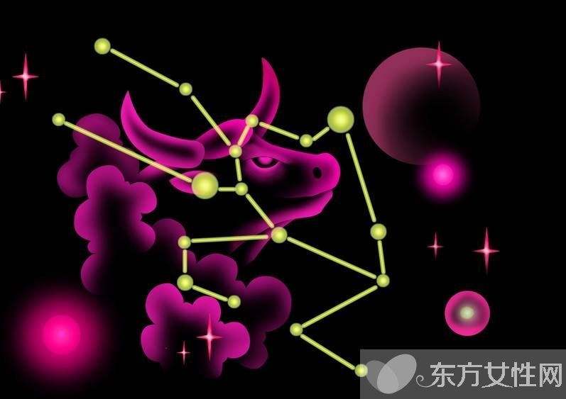 金牛座学业运势2017(金牛座学业运势2021年12月)