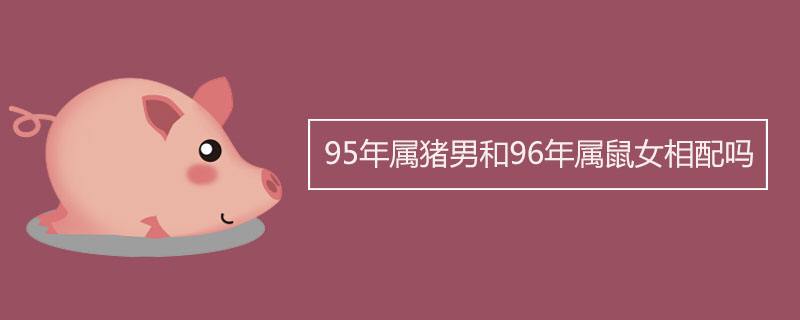 95猪2018运势(95年的猪明年的运势)