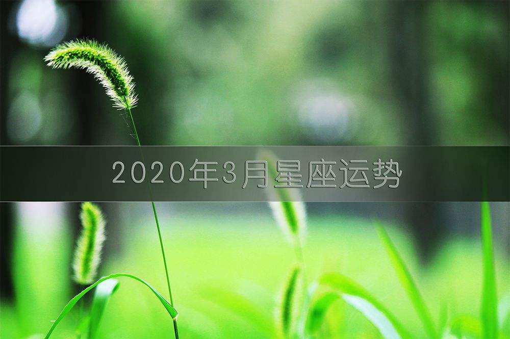 属猪狮子座2019年运势(2021年属猪狮子座全年运势女性)